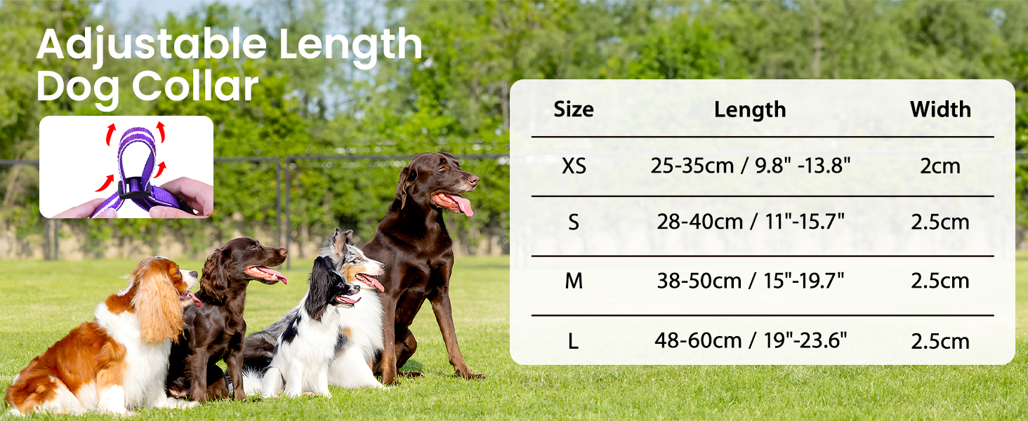 Світлодіодне нашийник для собак Masbrill, світловідбиваючий, водонепроникний, регульований, з 3 світлодіодами, для малих, середніх та великих собак, червоний, L