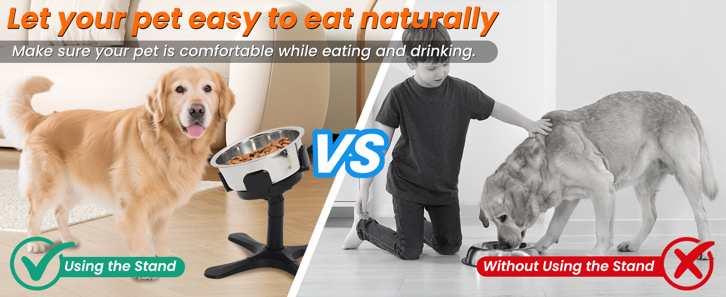 Підвищена годівниця для собак на регульованому підставці, 3 рівня та кут нахилу, сумісна з різними мисками, годівниця для собак із нержавіючої сталі для середніх та великих собак
