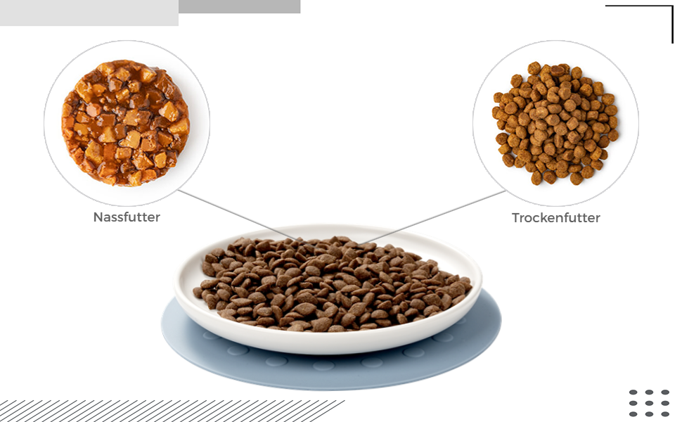 Керамічні годівниці для котів, набір 3 шт. з антиковзними килимками, широкі та плоскі миски для котів та кошенят, білий колір
