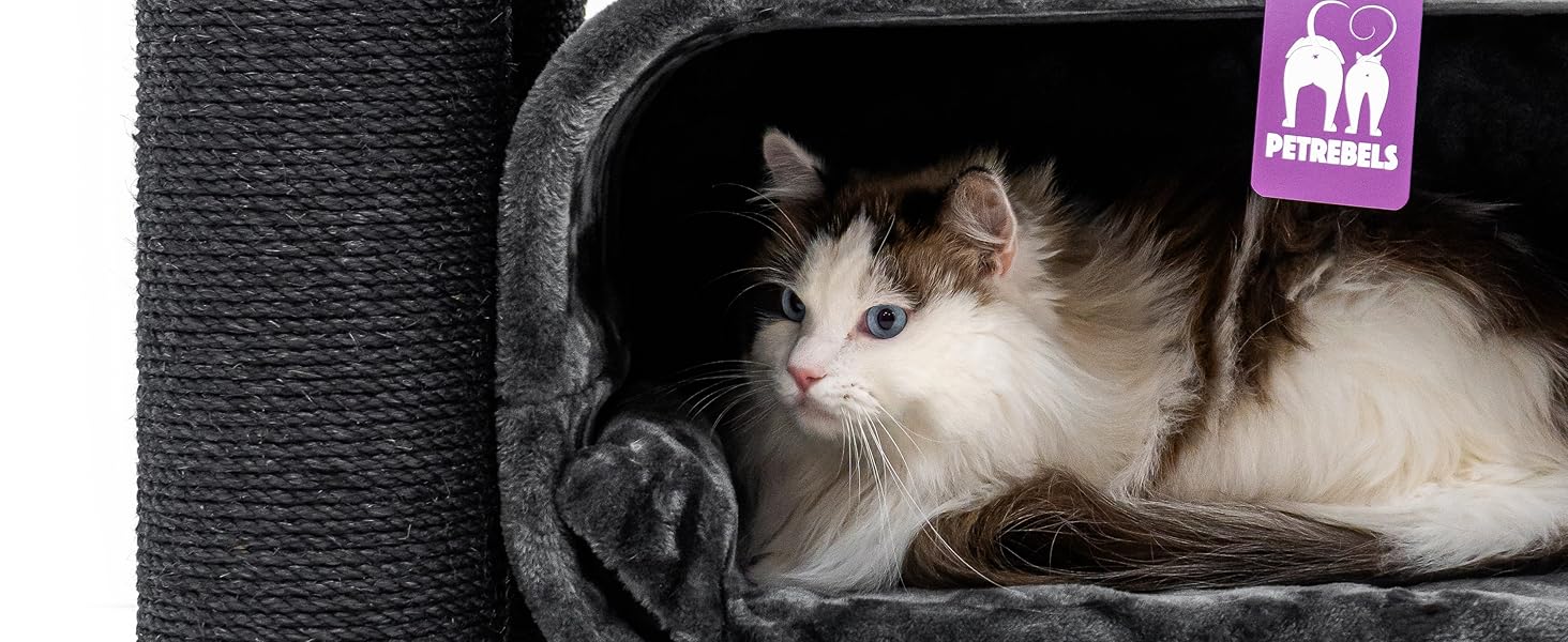 Драбина для котів Petrebels Skyline XXL, 186 см, чорна. Підходить для великих котів, таких як Мейн-кун