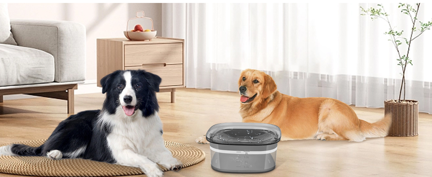 Миска для собак PETTOM 3л, анти-витікання, без розбризкування, для дому та вулиці (чорна)