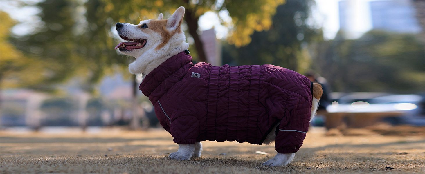 Теплий зимовий одяг для собак: двошагова жилетка, непромокаєма, вітронепроникна, з відбиваючими елементами. Підходить для малих, середніх та великих собак. Сірий XXL 2XL (back 19')