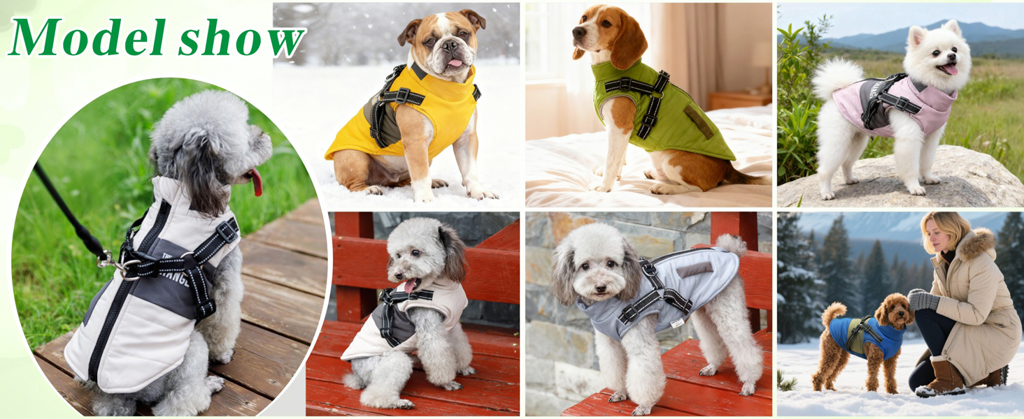 Зимова куртка для собак Oslueidy, тепла водонепроникна жилетка для цуценят та собак середніх розмірів, жовта