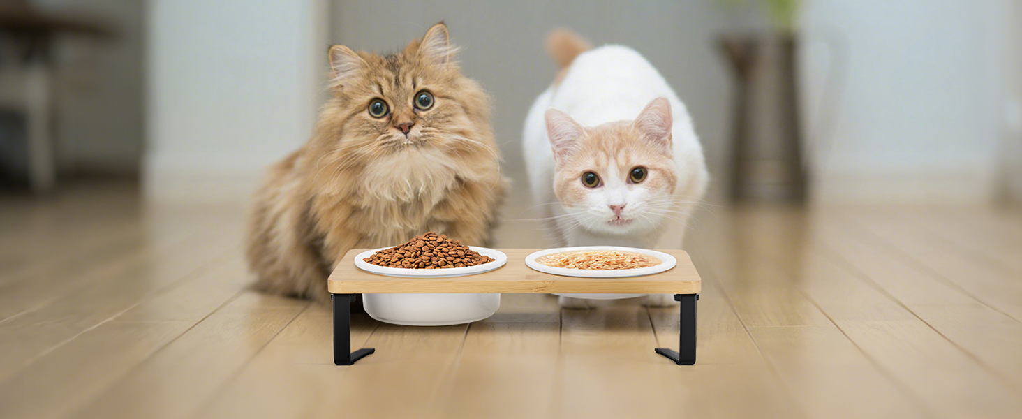 Набір мисок для котів PETTOM Anti-Schling з кераміки: піднята миска з нахилом 15°, бамбукова підставка, протиковзаюча, для вологого та сухого корму