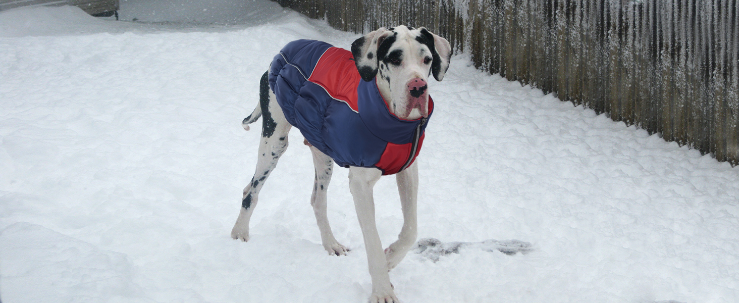 Зимові куртки та зимові пальта для собак IECOii, тепла зимова куртка для собак, пальта для собак, зимові пальта для собак, куртка-жилет для собак, теплий зимовий одяг для собак, водонепроникні куртки для собак, зелений колір, розмір M (обхват грудей: 53 см), армійсько-зелений