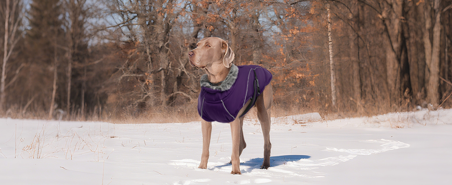 Водонепроникна куртка для собак XL, тепла флісова жилетка для великих собак, камуфляж, фіолетовий (A-Lila)