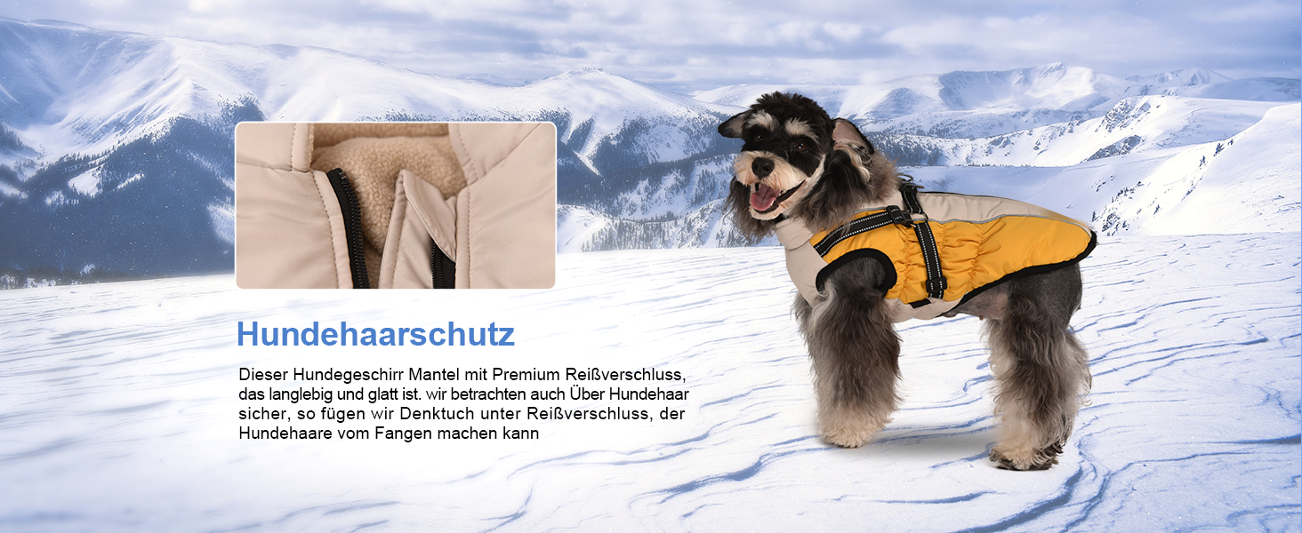 Водонепроникний одяг для собак: теплий зимовий одяг, жилет, куртка для маленьких, середніх та великих собак