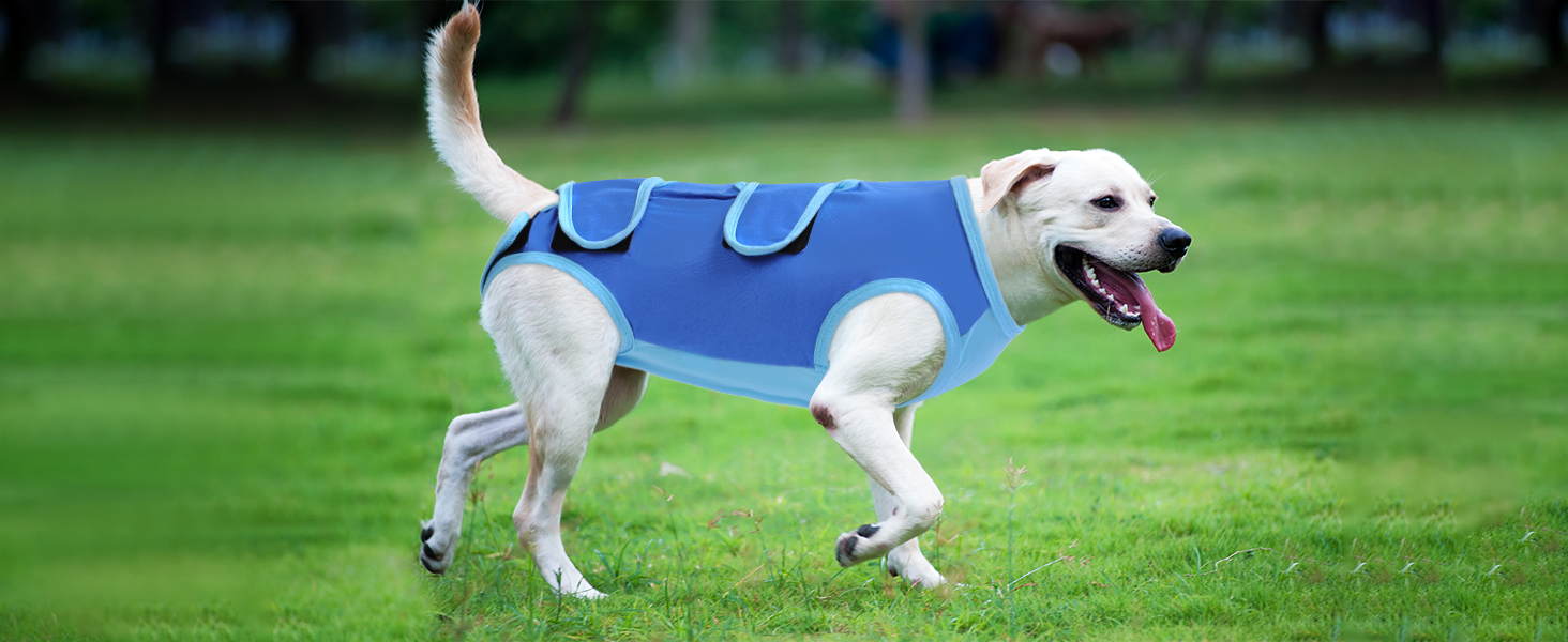 Піжама для собак після операції ASENKU: захист від лизання, альтернатива конусу, рожева, M