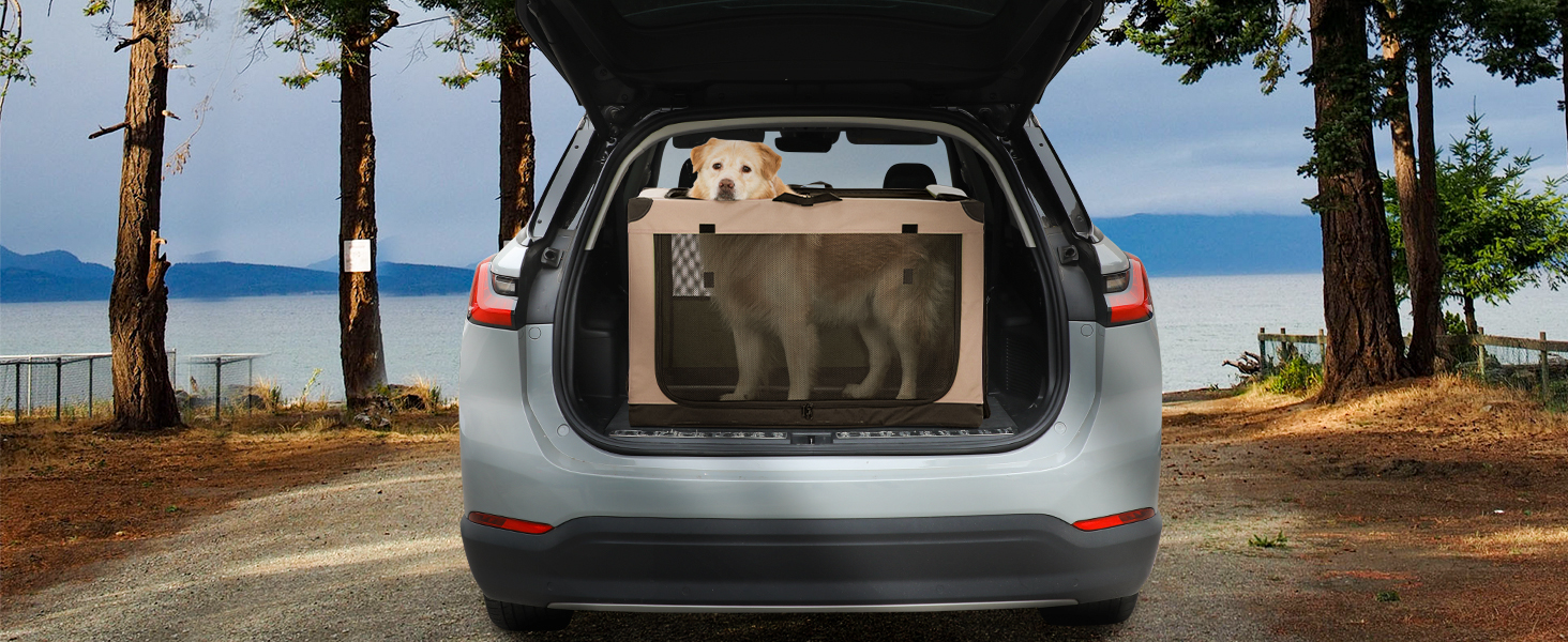 Транспортна переноска для собак Petsfit XL, складана, для дому, велика, середнього та малого розміру, з регульованим чохлом, легка у зберіганні, бежева