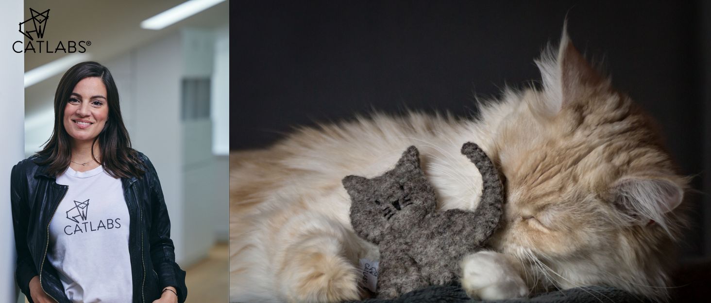 Підстилка на підвіконня для котів CATLABS з вовни (65x20 см) - 100% натуральна шерсть/фетр, без поліестеру. М'яка підстилка-лежанка для кота, тепла ковдра з вовни, місце для відпочинку на підвіконні.