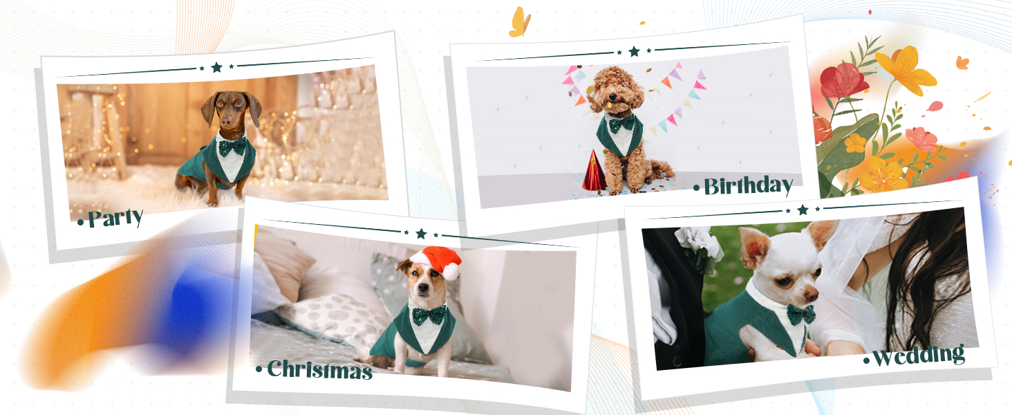 Костюм для собак 'Smoking' з банданою та краваткою, формальний наряд для свят та вечірок, розмір M/XXL, темно-зелений