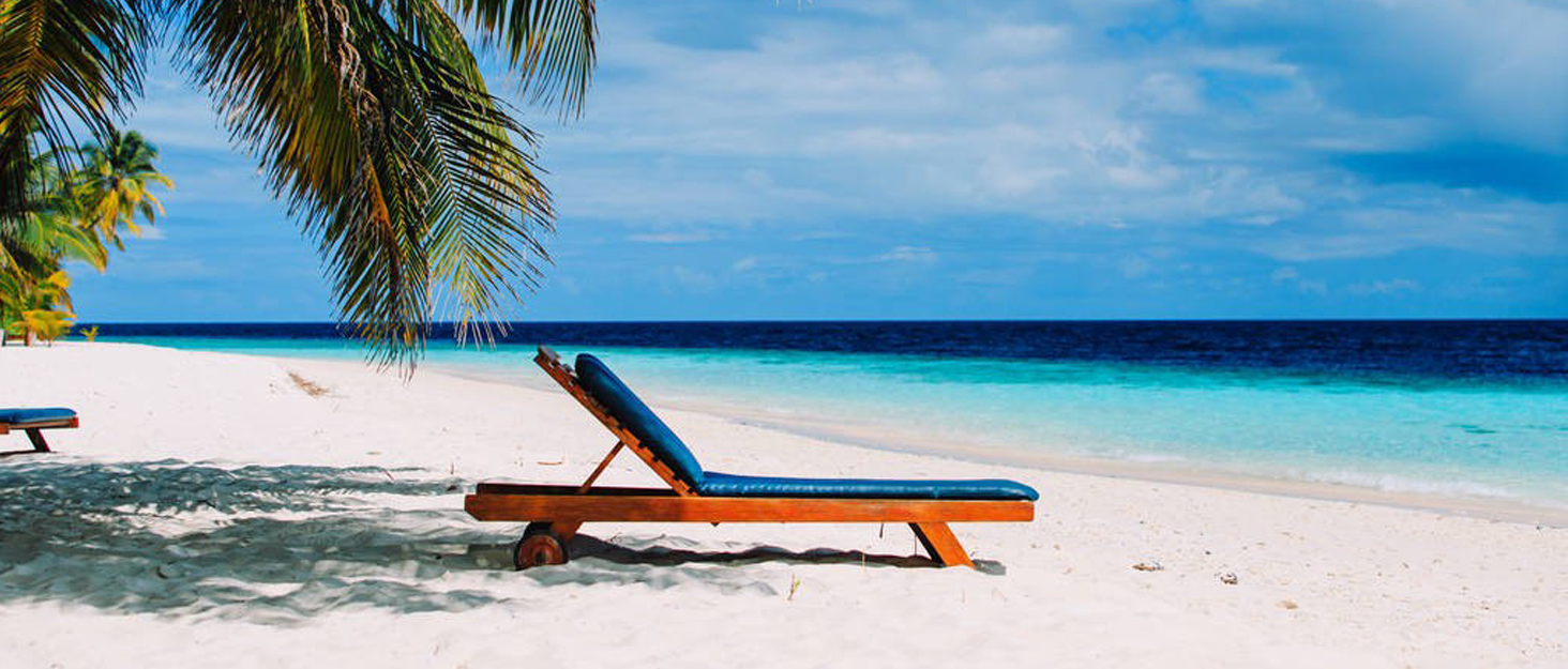 Візок для собак та котів EchoSmile 20 кг, 4-в-1, чорний: складаний, з колесами 360°, сітчастими вікнами