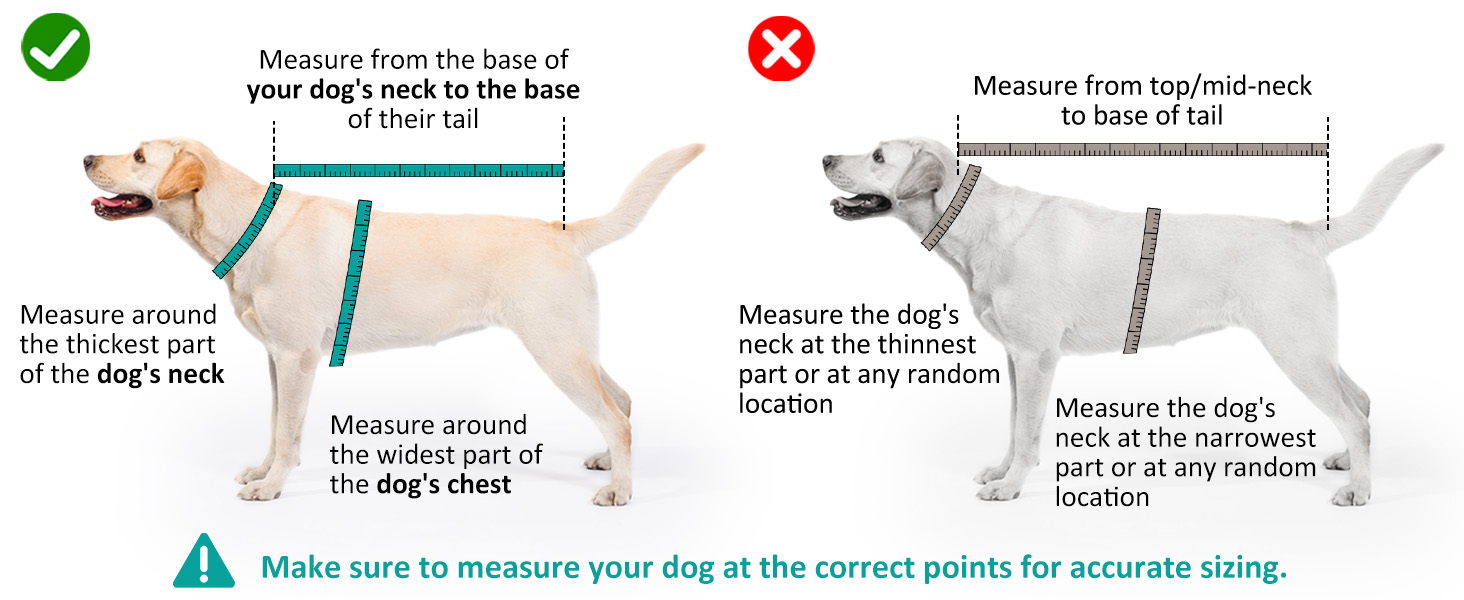 Рушник для собак Hezzuv: ультрапоглинаючий, з мікрофібри, для сушіння після снігу, для цуценят та дорослих, блакитний (S)