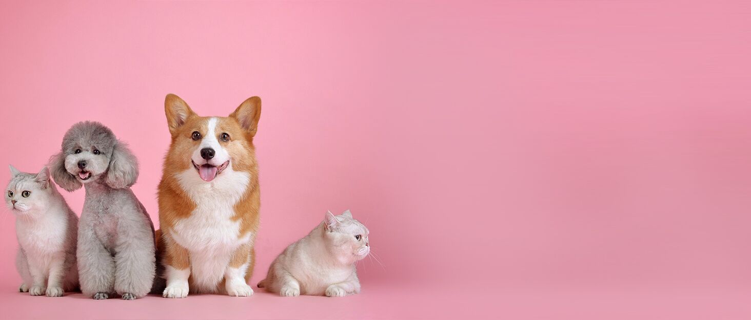 М'який теплий плед для собак та котів з фланелі, Coffee, 69 x 52 см