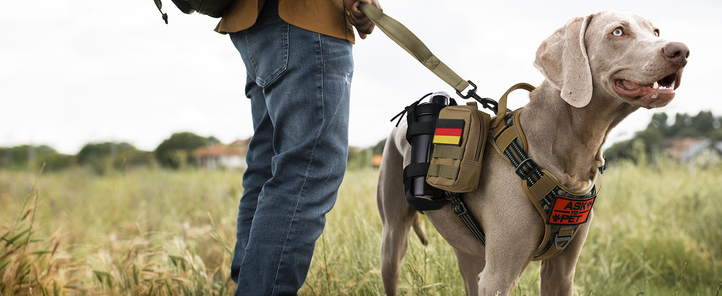 Нашийник для собак Rabbitgoo середнього розміру, анти-тяговильний, регульований з ручкою, міцний, з металевими пряжками, для піших прогулянок (M, L), камуфляжний, коричневий