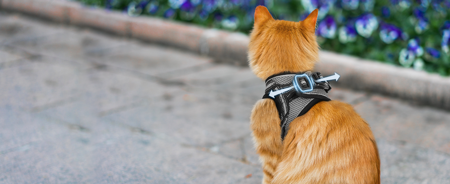 Нашийник та поводок для котів Rabbitgoo - безпечний, регульований, з відбиваючими смугами, сірий, M