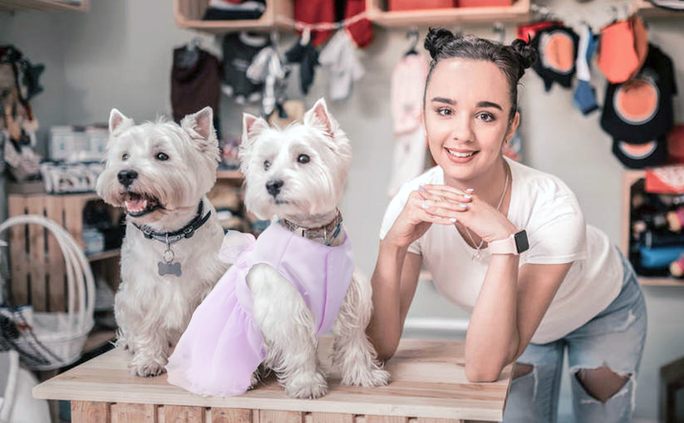 Сукня для собак на весілля: розкішний плаття для цуценят, сукня принцеси, літнє вбрання для собак, весільні сукні для собак, вечірні сукні з бантиком для маленьких дівчаток (XS, фіолетовий)