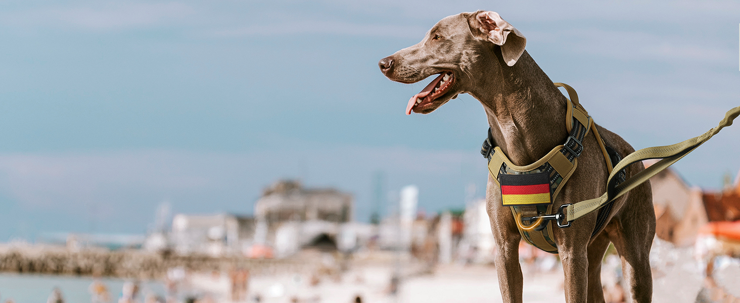 Нашийник для собак Rabbitgoo середнього розміру, анти-тяговильний, регульований з ручкою, міцний, з металевими пряжками, для піших прогулянок (M, L), камуфляжний, коричневий