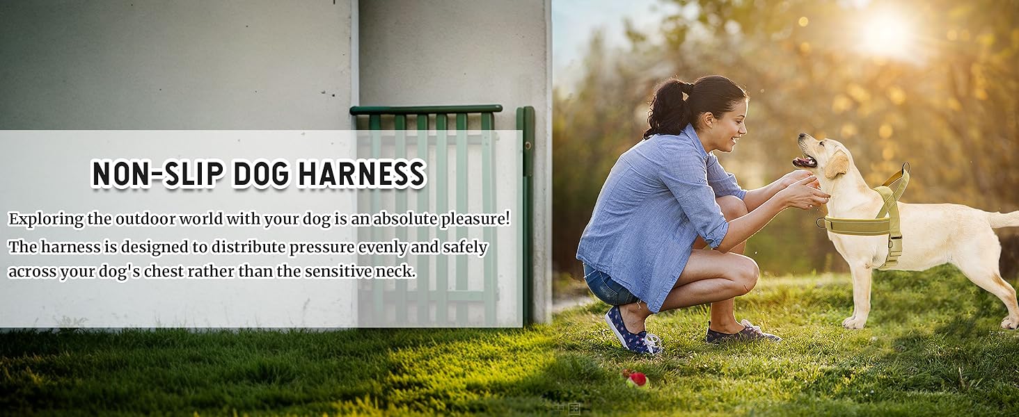 Шлейка для собак, анти-тяга, світловідбиваюча, для середніх та великих собак, регульована, м'яка, дихаюча, для прогулянок та бігу (L) (Style2-M)