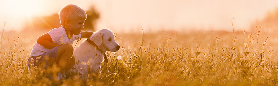 Рампа для собак Relaxdays, складна, антиковзка, для завантаження в багажник, до 90 кг, пластик, 156x40 см, чорна