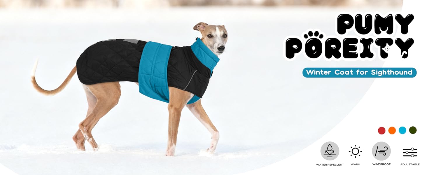 Тепла куртка для грейхаундів та інших породистих собак, флісова підкладка, блакитна