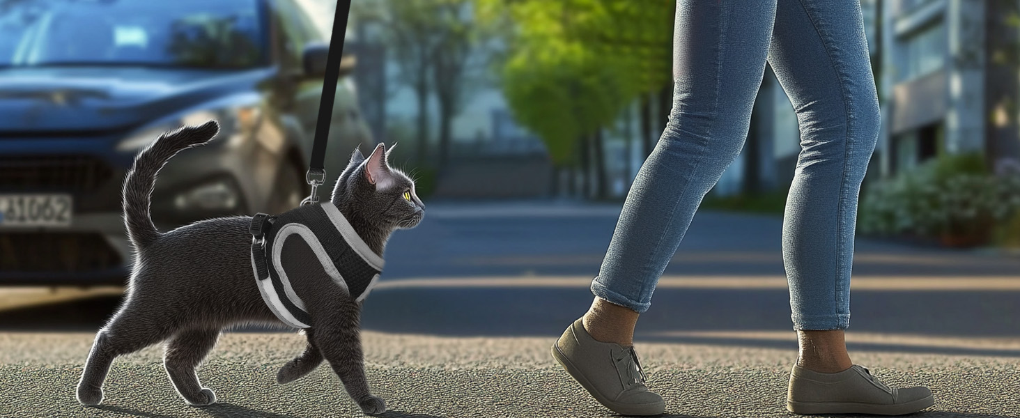 Нашийник для кота Bindokun з повідком, антивитік, комплект, чорний, S