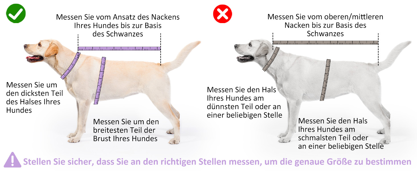 Рушник для собак, мікрофібра, середні та великі породи - сірий, швидке сушіння, супер вбирання, для собак та котів (фіолетовий, XXL), 2 сторони сірий/фіолетовий