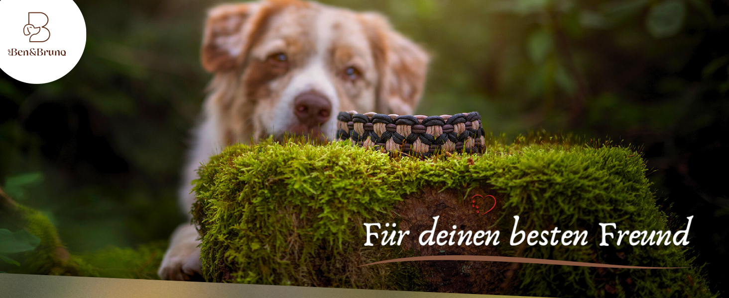 Нашийник для собак Ben&Bruno: широкий, регульований, ручної роботи, міцний, надійний, довговічний, з паракорду, для маленьких, середніх та великих собак, XL, багатокольоровий