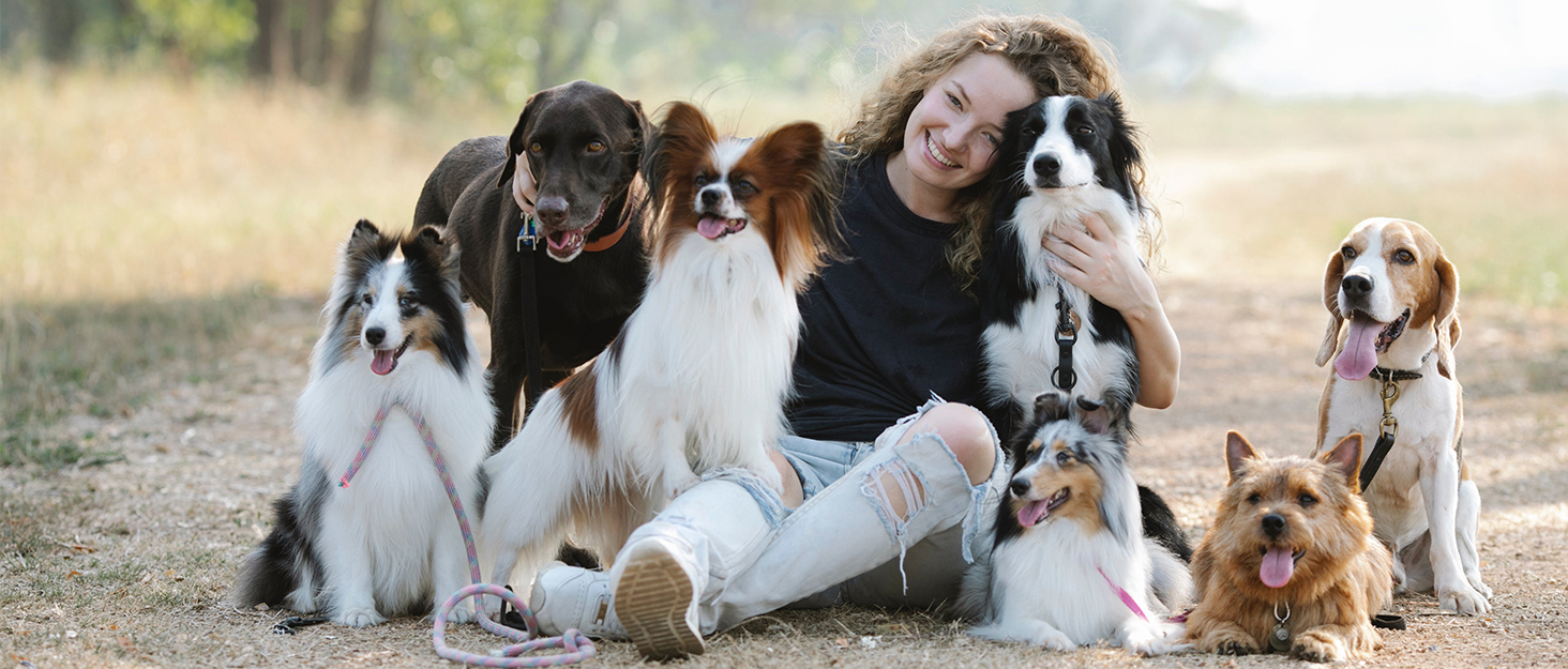 Складана килимок для собак 95x65 см, водовідштовхувальний, для подорожей та дому