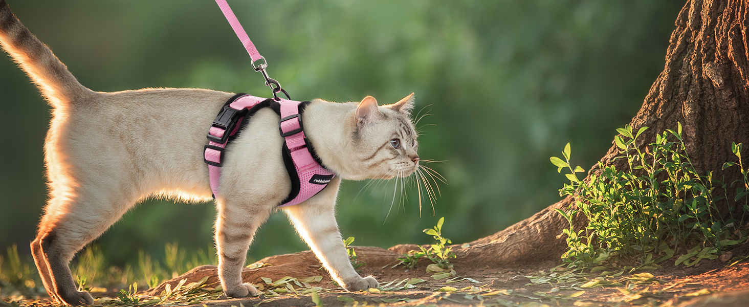 Шлейка для кота Rabbitgoo з повідком, м'яка шлейка для кота, шлейка-жилет для кота, безпечна та регульована, рожева, XS (1 шт.)