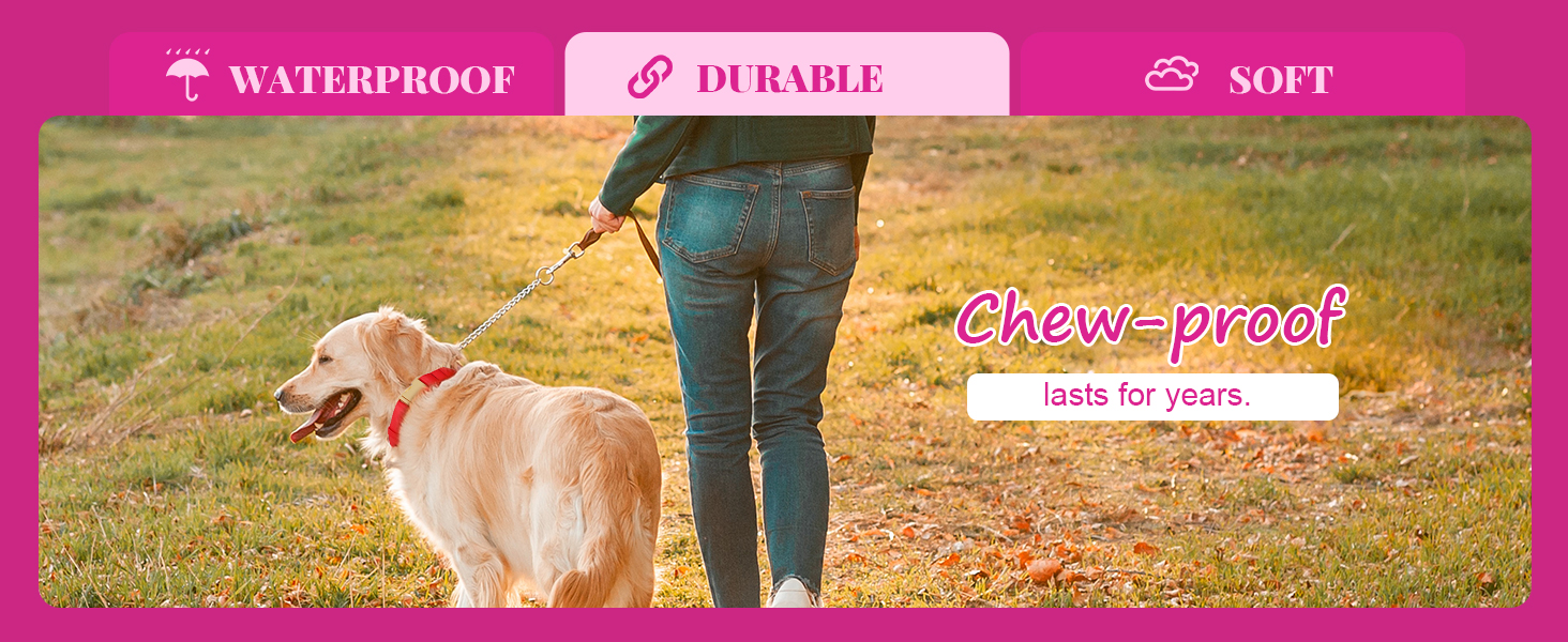 Нашийник для собак Didog з нейлону, м'який, з металевою застібкою-швидкої фіксації, чорний, розмір M (33-51 см)