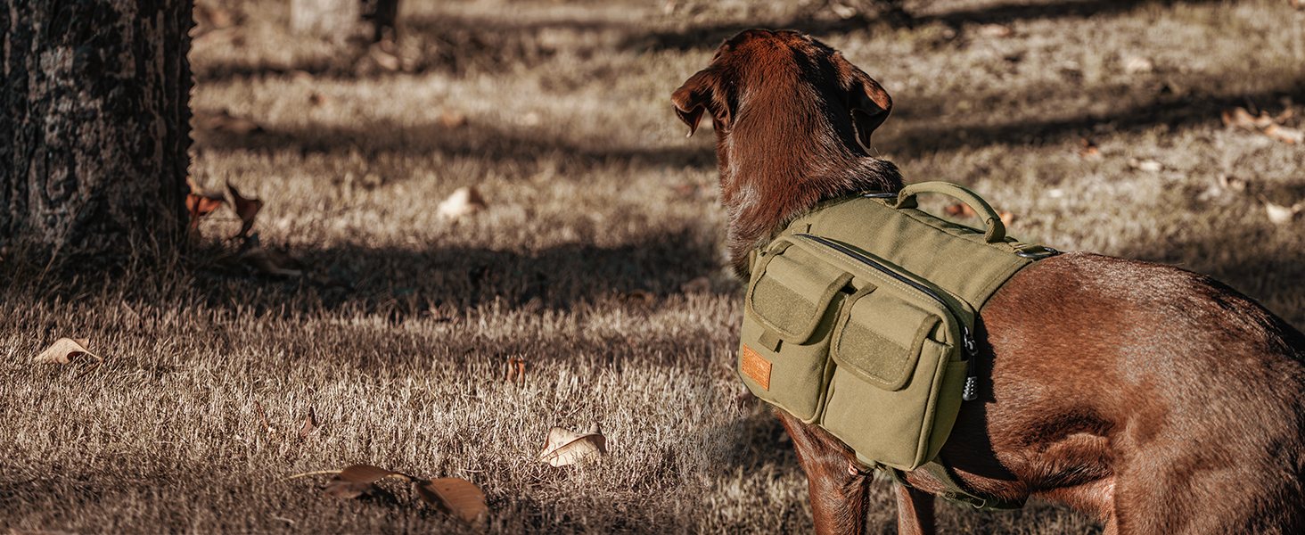 Шлейка для собак OneTigris з рюкзаком, Hoppy Camper 3.0, для кемпінгу та піших прогулянок, зелена, L