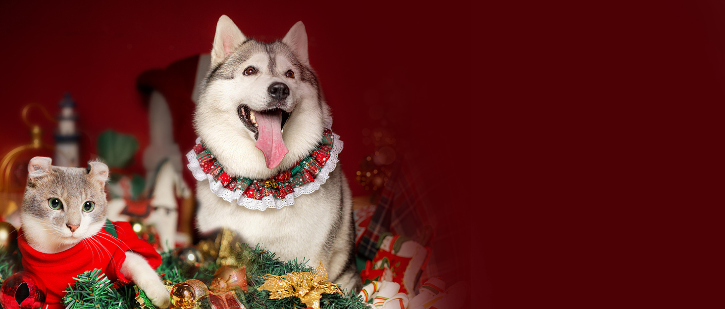 Nobleza - когтеточка для котів з котячою м'ятою, ігрова зона, картридж, 56 x 26 x 20 см