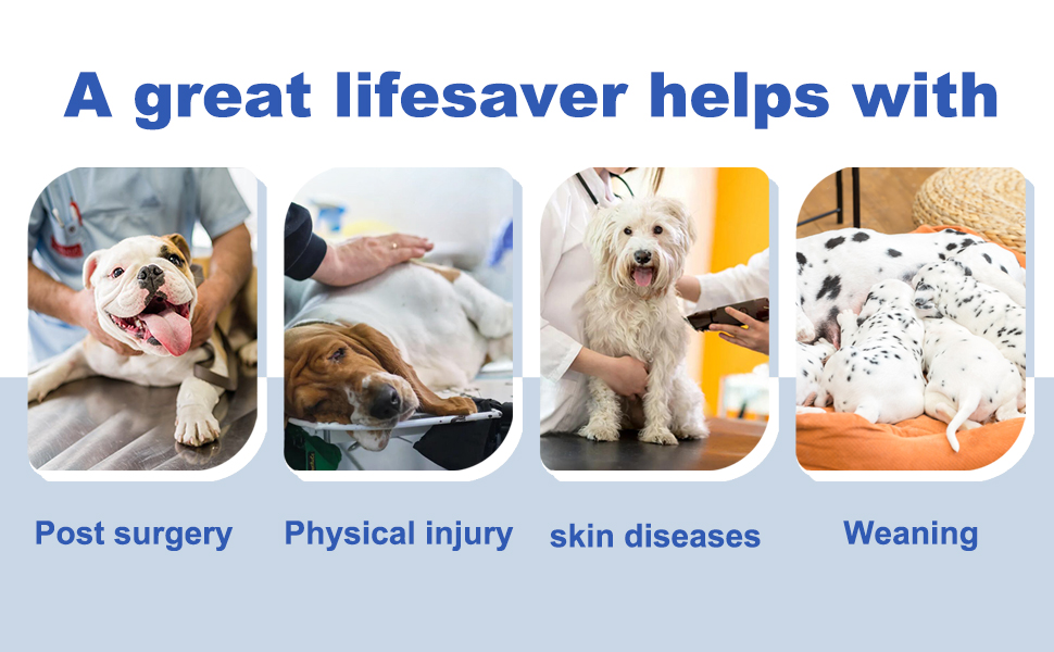 Комбінезон для собак та котів CuteBone Skulls післяопераційний, середній, для захисту ран, SSF05M-DE