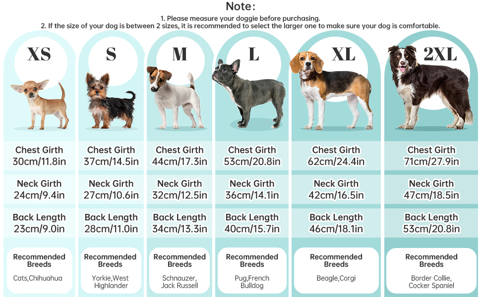Теплий собачий светр з коміром для холодної погоди. Для чихуахуа, бульдога, такси, мопса, йорка (блакитно-зелений, S)