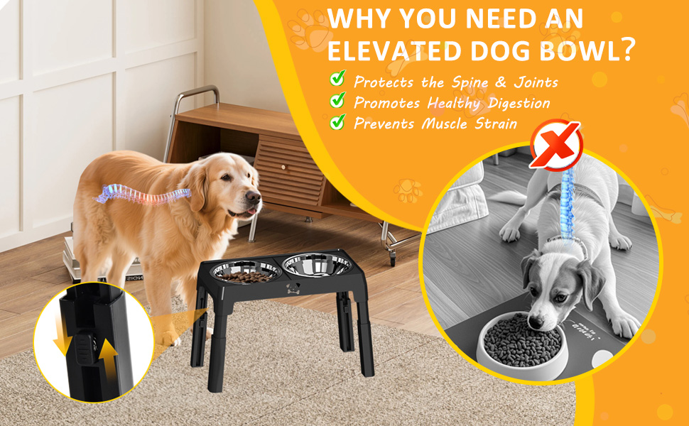 Підвищений годівниця для собак з регулюванням висоти, 5 рівнів, для малих, середніх та великих собак, годівниця-станція з 2 мисками з нержавіючої сталі, складна та протиковзка, для здоров'я суглобів та без BPA