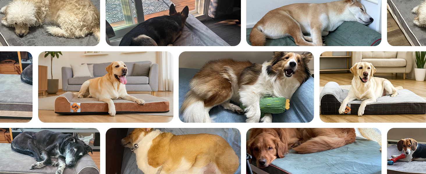 Ортопедичне ліжко для собак Laifug з ефектом пам'яті, велике, водонепроникне, сірий сланцевий колір, 127 x 92 x 23 см