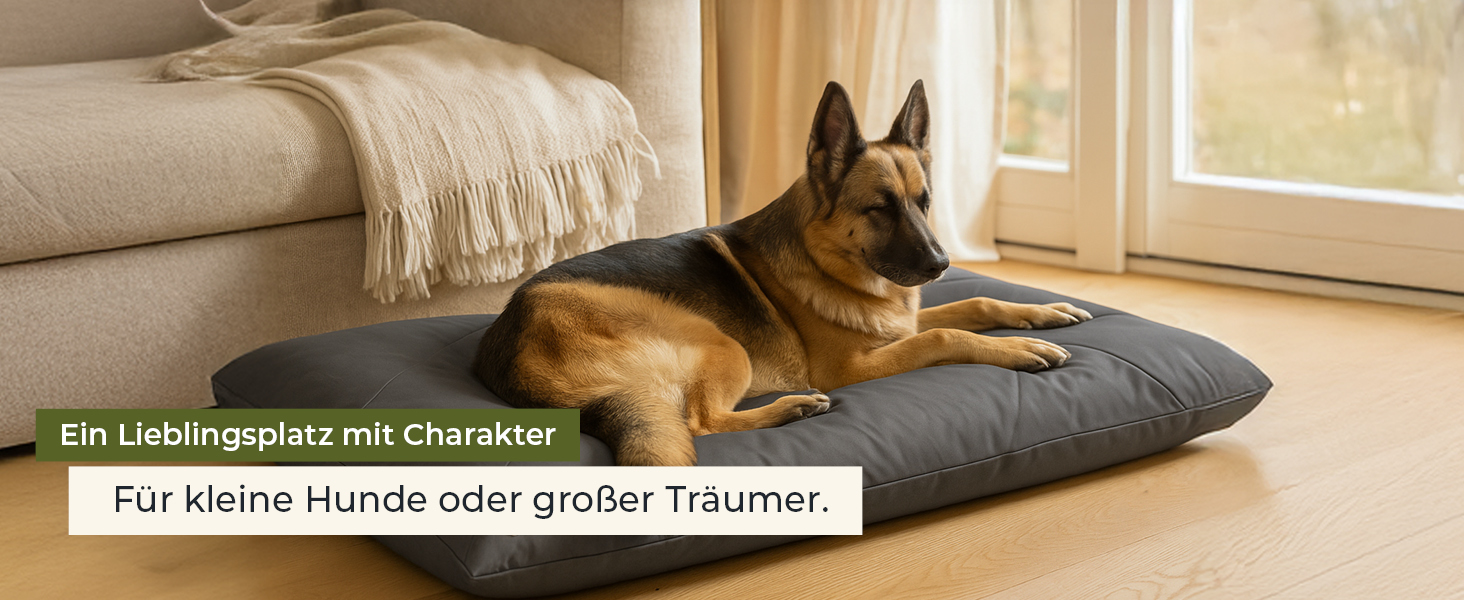 М'яке ліжко для собак великих порід Doctor Bark GreenLabel - зручне, миється, зелене (L)