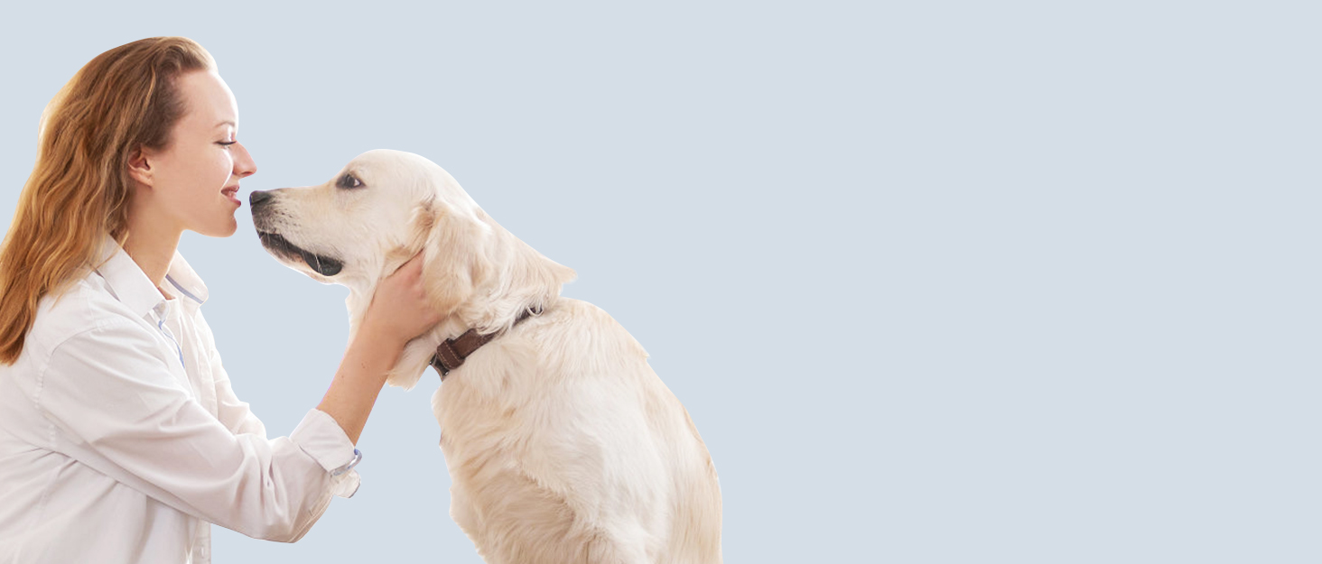 Професійна машинка для стрижки собак та котів KitSky Leise, бездротова, для довгошерстих порід