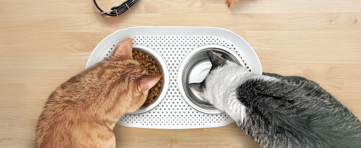 Підвищений годівниця для котів ALL FOR PAWS - 3-рівнева регульована годівниця з 2 мисками з нержавіючої сталі (350 мл), антиковзаюча та захищена від розливу, для кошенят, середніх та великих котів (44*26*19 см)