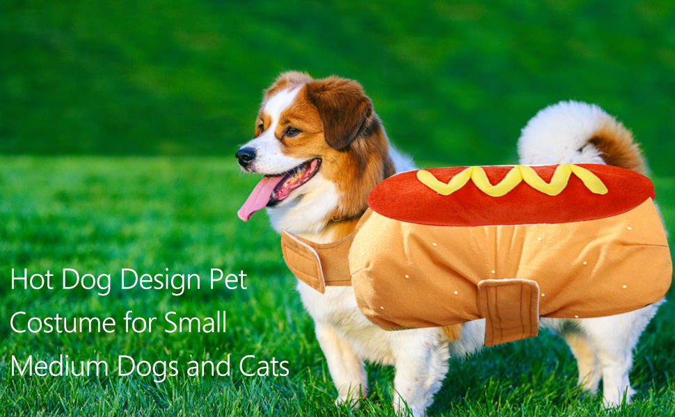 Костюм для тварин