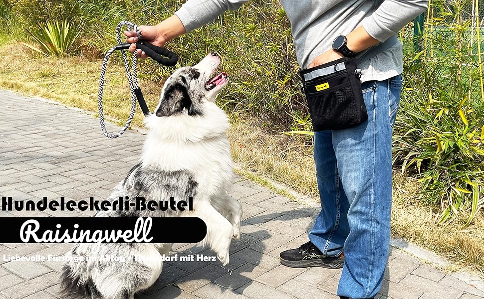 Сумка для ласощів для собак, багатофункціональна сумка для прогулянок з силіконовим кишеньком, мішок для корму для дресирування собак та дозатор ласощів, ідеальна для активного відпочинку на природі (Чорний, 4 відділення)