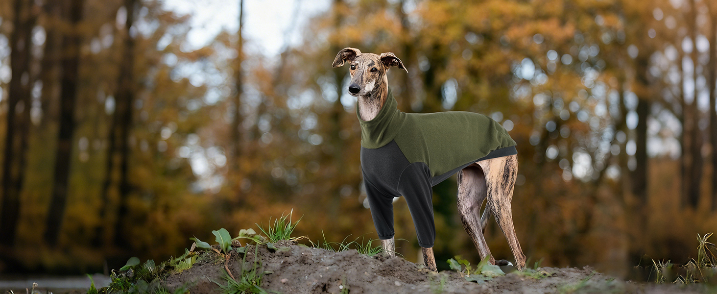 Теплий флісовий светр з високим коміром для грейхаундів, костюм, куртка, одяг для гальго, зимовий комбінезон, комфортний стиль для грейхаундів (Хакі, L)
