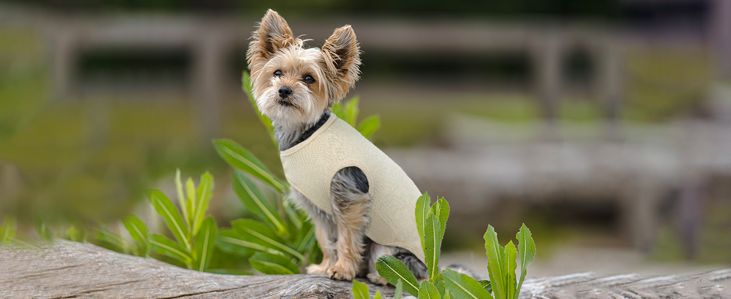 Сорочка для собак Х'юмараян, великі породи, зелена XXL: захист від сонця, еластична, для лабрадорів