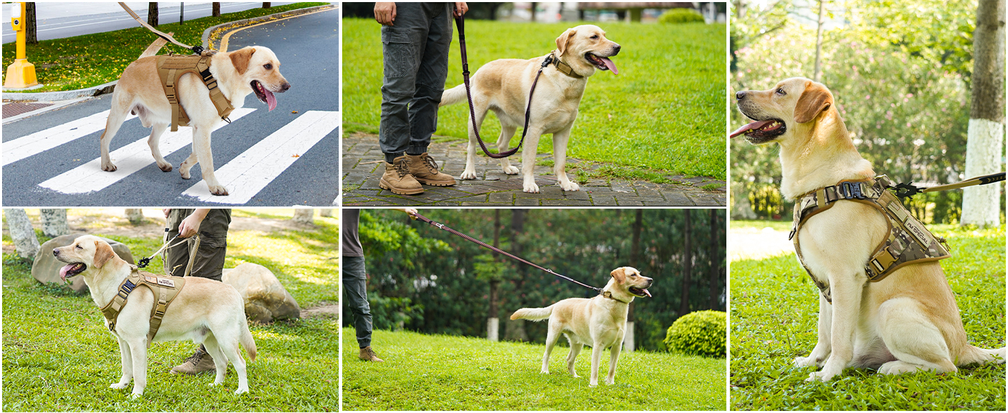 Тактична повідок для собак Joytale, еластична повідок з 2 м'якими ручками, страхувальний ремінь для автомобіля, повідок без ривка для собак середніх, великих та екстра-великих порід (1.2м-1.8м, коричнева)