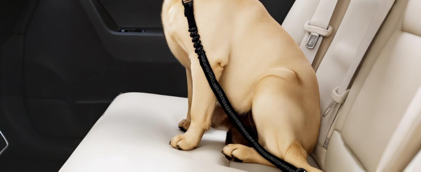 Ремінь безпеки для собак в авто: 2 шт., чорний, 60 см, з регулюванням та амортизацією