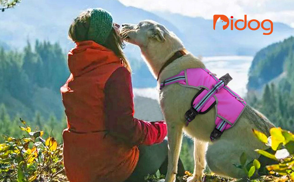 Didog Безпечна шлейка для собак, м'яка, дихаюча, з підкладкою та світловідбивачами, регульована, анти-навантаження, з ручкою для підйому та подвійними кріпленнями для повідка, для середніх і великих собак