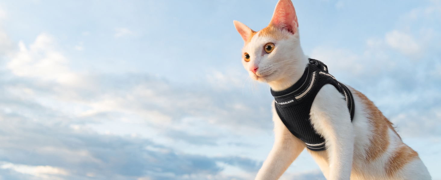 Шлейка для котів Rabbitgoo з повідком, чорна, M (XL, 1 шт.)