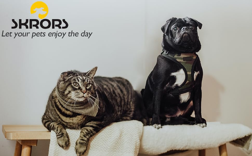 Заспокійнельне ліжко для собак, Donut-дизайн, плюш, з блискавкою, придатне для прання в машині, ліжко для маленьких тварин, собак, котів, кошенят та цуценят, 50 см (XL /80 см, Бежевий)