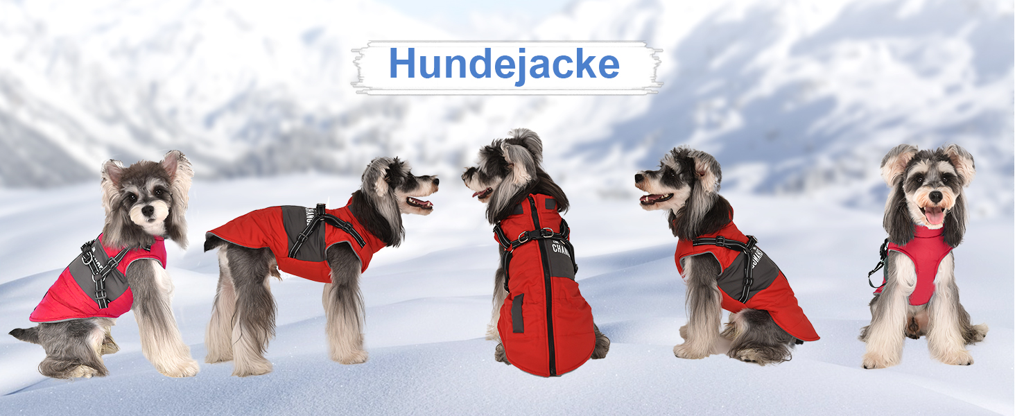 Теплий зимовий одяг для собак: куртка, жилет, плащ для маленьких та середніх порід, рожевий